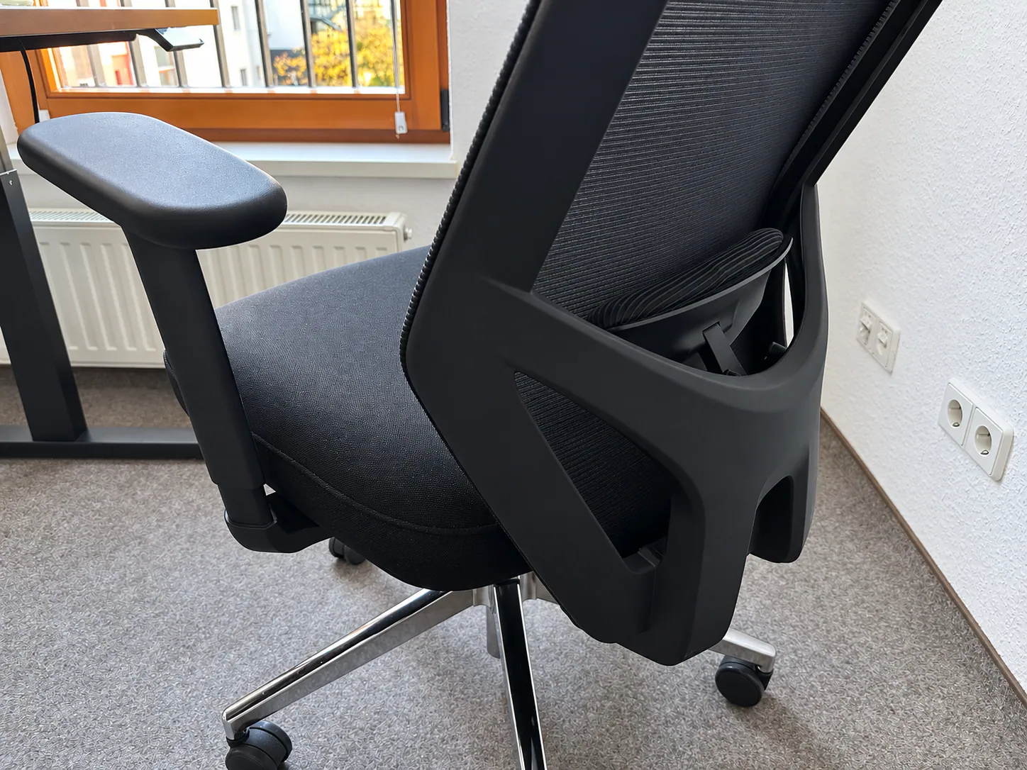 Rear frame and mesh backrest of the Holludle Ease Chair