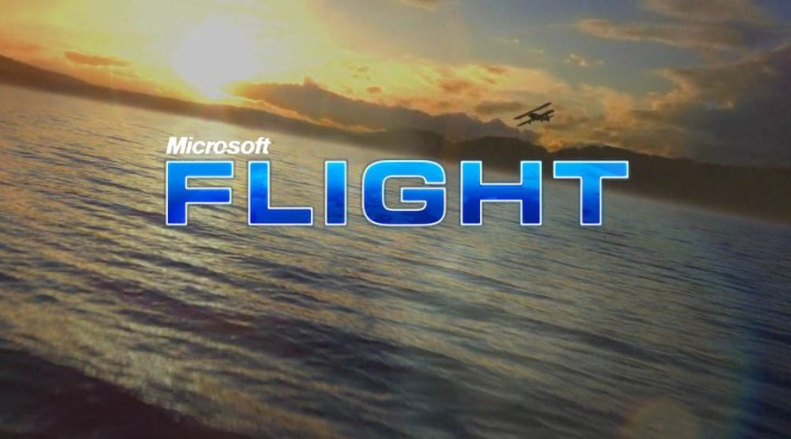 Microsoft Flight Review